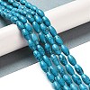 Synthetic Gemstone Dyed Beads Strands G-K362-I12-06-2