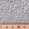 8/0 Glass Seed Beads X1-SEED-A007-3mm-161-3