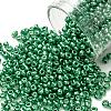 12/0 Glass Seed Beads SEED-A017-2mm-1114-1