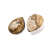 Natural Picture Jasper Cabochons G-B085-03B-10-2