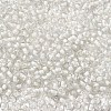 12/0 Transparent Glass Seed Beads SEED-F003-03C-07-3