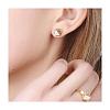 Resin & Walnut Wood Cabochons RESI-S358-70-8