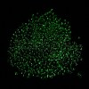 Luminous Glass Seed Beads X1-SEED-A033-07E-5