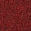 MIYUKI Round Rocailles Beads X-SEED-G007-RR0011-3