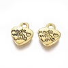 Tibetan Style Alloy Charms LS-GLF0004Y-NF-1