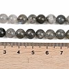 Natural Labradorite Beads Strands G-Z133-A01-7mm-01-5