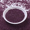 MIYUKI Round Rocailles Beads SEED-G007-RR0313-2