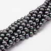 Shell Pearl Bead Strands X-BSHE-L025-05-6mm-1