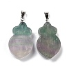 Natural Fluorite Pendants G-A203-02F-P-1