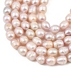 Natural Cultured Freshwater Pearl Beads Strands PEAR-F020-24B-4