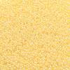 TOHO 11/0 Round Beads X-SEED-TR11-0902-2