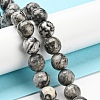 Natural Map Stone/Picasso Stone/Picasso Jasper Beads Strands G-C079-B05-03-2