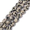 Natural Dalmatian Jasper Beads Strands G-Z006-A31-1