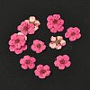 Narcissus Embossing Dried Flowers DIY-K032-60P-1