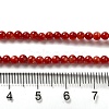 Natural Freshwater Shell Beads Strands SHEL-H003-03G-4