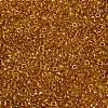 MIYUKI Round Rocailles Beads X-SEED-G008-RR3526-3