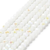 Opaque Glass Beads Strands EGLA-A035-P6mm-L01-1
