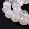 Natural Rainbow Moonstone Beads Strands G-I249-B04-06-4