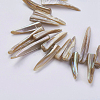 Natural Shell Beads Strands BSHE-P026-25-3