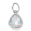 304 Stainless Steel Cubic Zirconia Pendant ZIRC-P080-B05-1