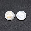 Shell Cabochons SSHEL-E568-B07-1