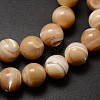 Natural Sea Shell Beads Strands SSHEL-K013-12mm-B-3