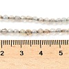 Natural Agate Beads Strands G-H302-A04-01-2