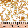 Plated Glass Bugle Beads SEED-S046-01A-22B-3
