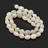 Nuggets Natural White Moonstone Beads Strands G-J336-11-2
