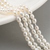 Natural Cultured Freshwater Pearl Beads Strands PEAR-P062-03C-1