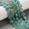 Natural Amazonite Beads Strands G-P534-A07-01-2