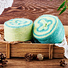 Gradient Segment Dyed Super Fine Mohair Yarn DIY-TAC0033-03D-6