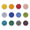 BENECREAT MGB Matsuno Glass Beads SEED-BC0001-04-1