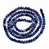 Natural Sodalite Beads Strands G-S362-070-2