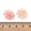 Synthetic Shell Dyed Beads SHEL-C006-01D-3