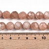 Natural Sunstone Beads Strands G-S345-10mm-23-5