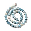 Natural Gemstone Beads Strands G-F730-02B-3