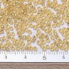 MIYUKI Round Rocailles Beads X-SEED-G007-RR0003-4
