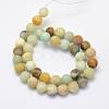 Natural Flower Amazonite Beads Strands G-G697-F05-10mm-2