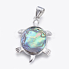 Abalone Shell/Paua ShellJewelry Sets X-SJEW-P089-02-2