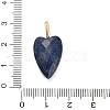 Natural Lapis Lazuli Pendants G-C290-01B-3
