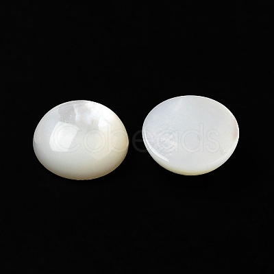 Natural White Shell Cabochons X-SSHEL-M022-01C-1