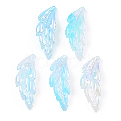 Transparent Acrylic Pendants TACR-TAC0005-03B-1