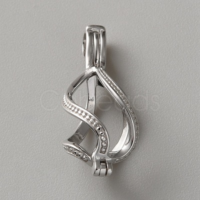 925 Sterling Silver Bead Cage Pendants FIND-WH0473-007P-1