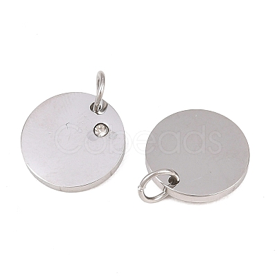 316 Surgical Stainless Steel Pendants STAS-K178-06P-1