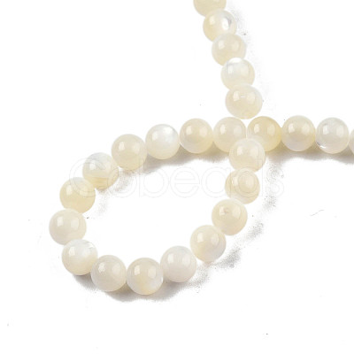 Natural White Shell Bead Strands SSHEL-N003-144D-01-1