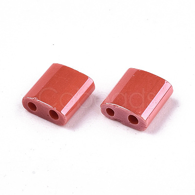 FGB 2-Hole Glass Seed Beads SEED-S031-L-ST125-1