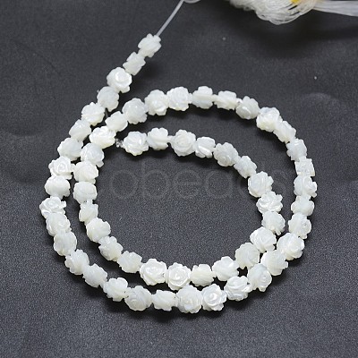 Natural White Shell Beads Strands SSHEL-P015-01A-10mm-1