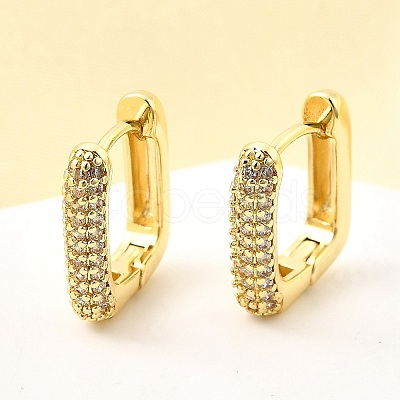 Brass Micro Pave Clear Cubic Zirconia Hoop Earrings EJEW-Z121-10G-1