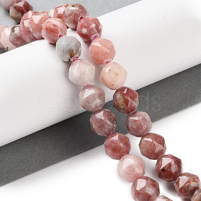 Natural Plum Blossom Jasper Beads Strands G-NH0021-A20-01-1